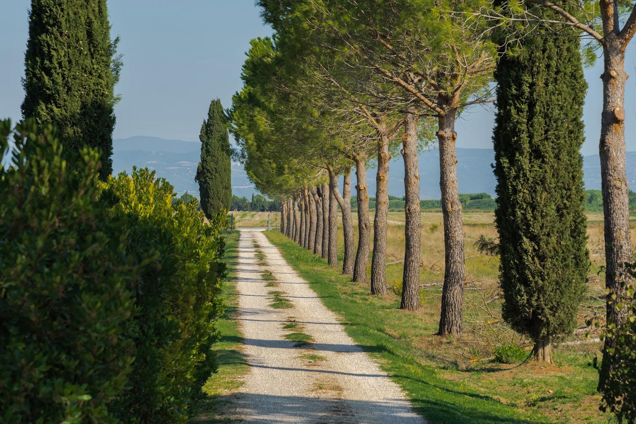 Agriturismo Bandinelli Braccagni Exteriér fotografie