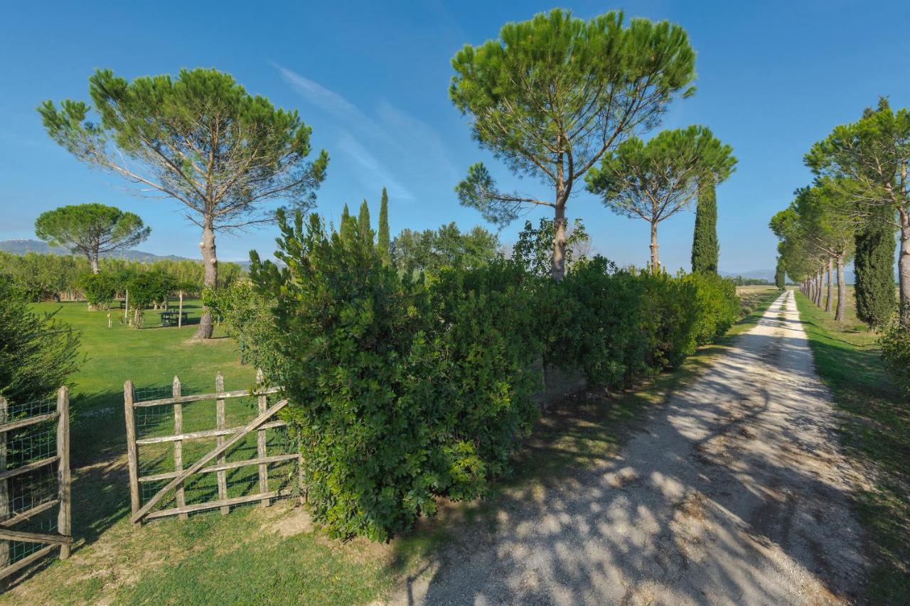 Agriturismo Bandinelli Braccagni Exteriér fotografie